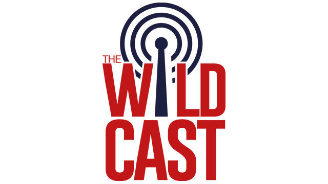 The Wildcast, Episode 46: Who are the best 5 freshmen in UA basketball history?
